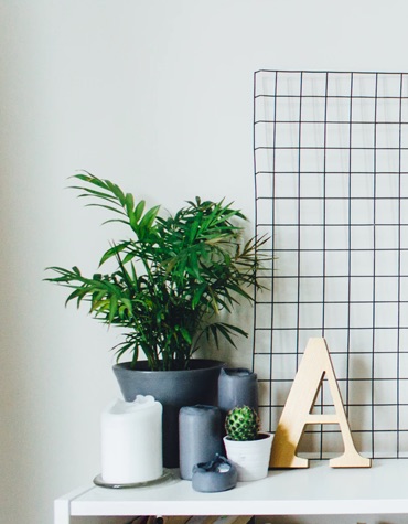 Plants, candles and a wooden 'A' sitting on a desk.