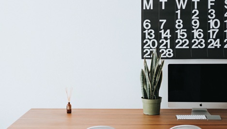 A computer and a spider plant on a wooden desk, with a calendar on the wall.